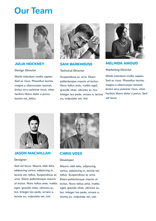 Mobile Web App Proposal Template